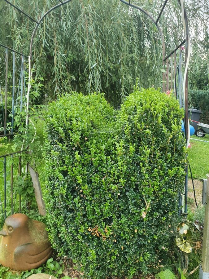 Ferienwohnung Forsthaus Bad Grönenbach المظهر الخارجي الصورة